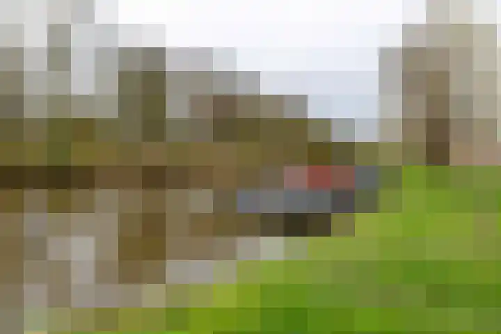 Salverdastraat 13 Sneek thumbnail 40