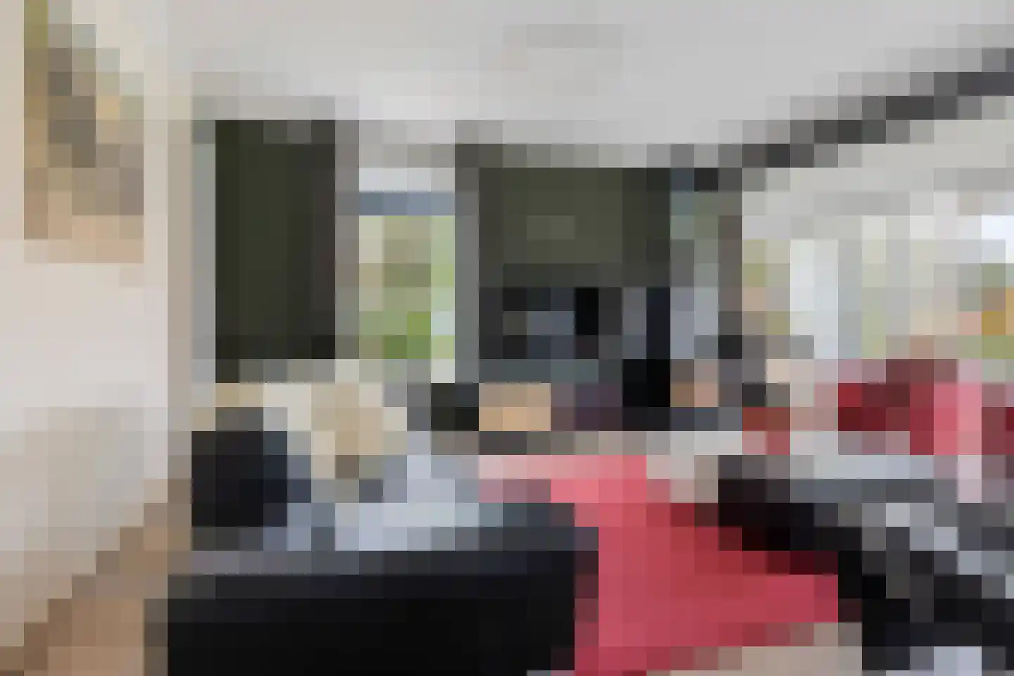 Salverdastraat 2 b Sneek thumbnail 13