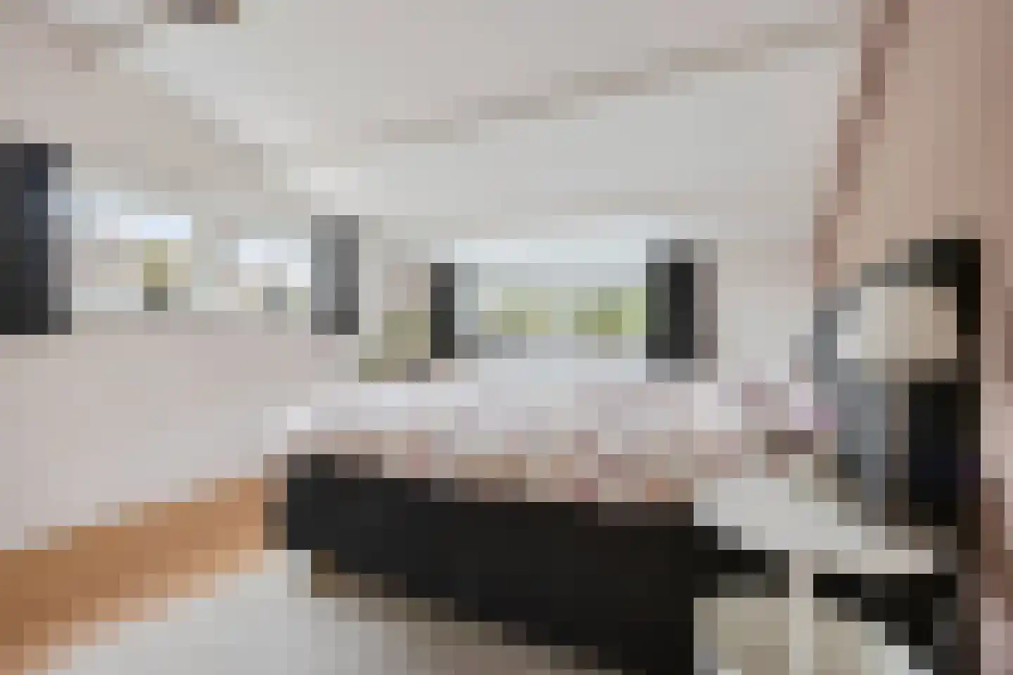 Salverdastraat 2 b Sneek thumbnail 24