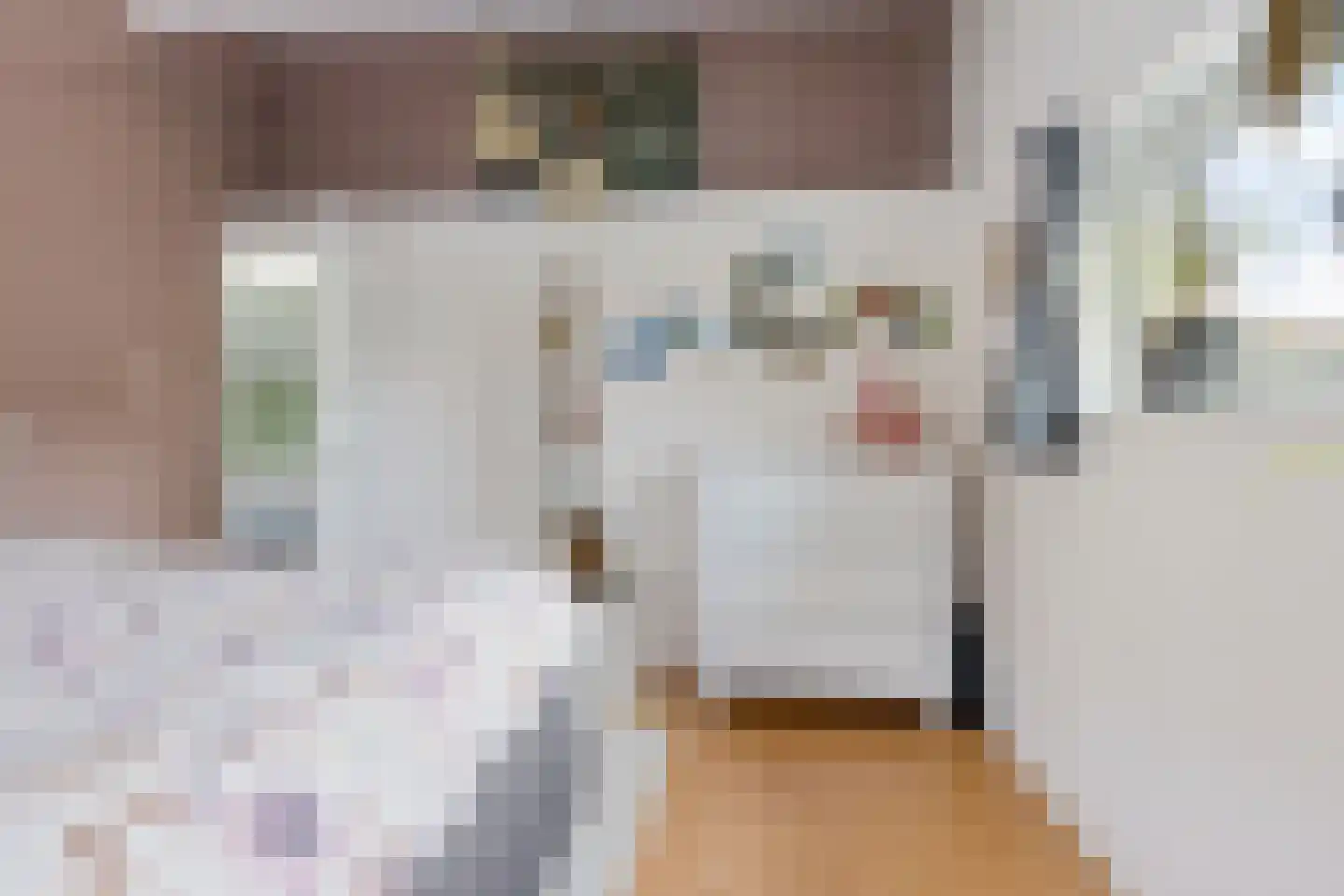 Salverdastraat 2 b Sneek thumbnail 25