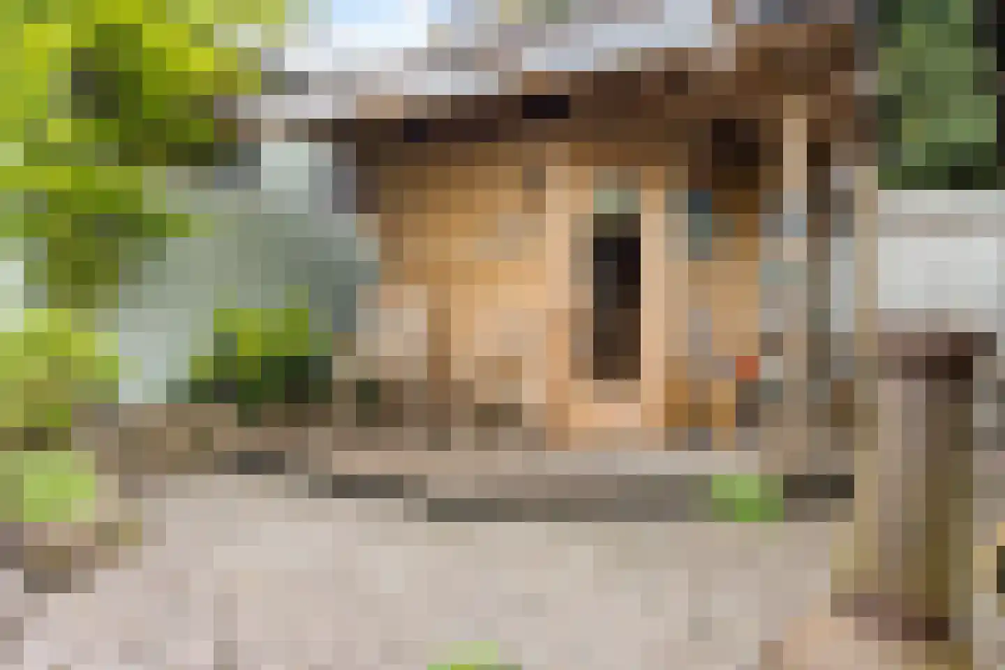 Salverdastraat 2 b Sneek thumbnail 40