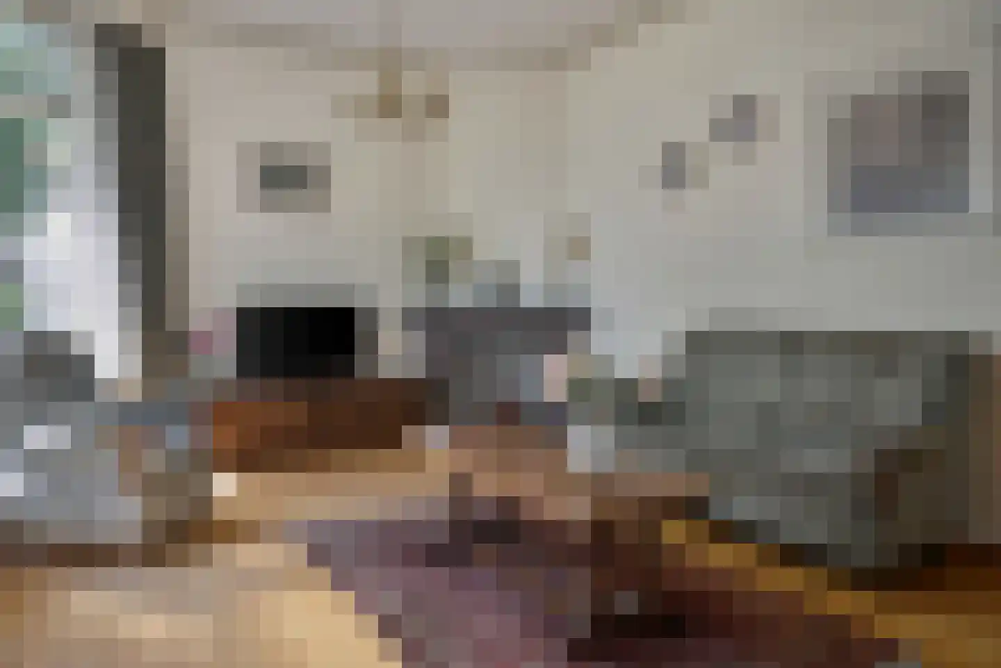 Salverderweg 16 Franeker thumbnail 12