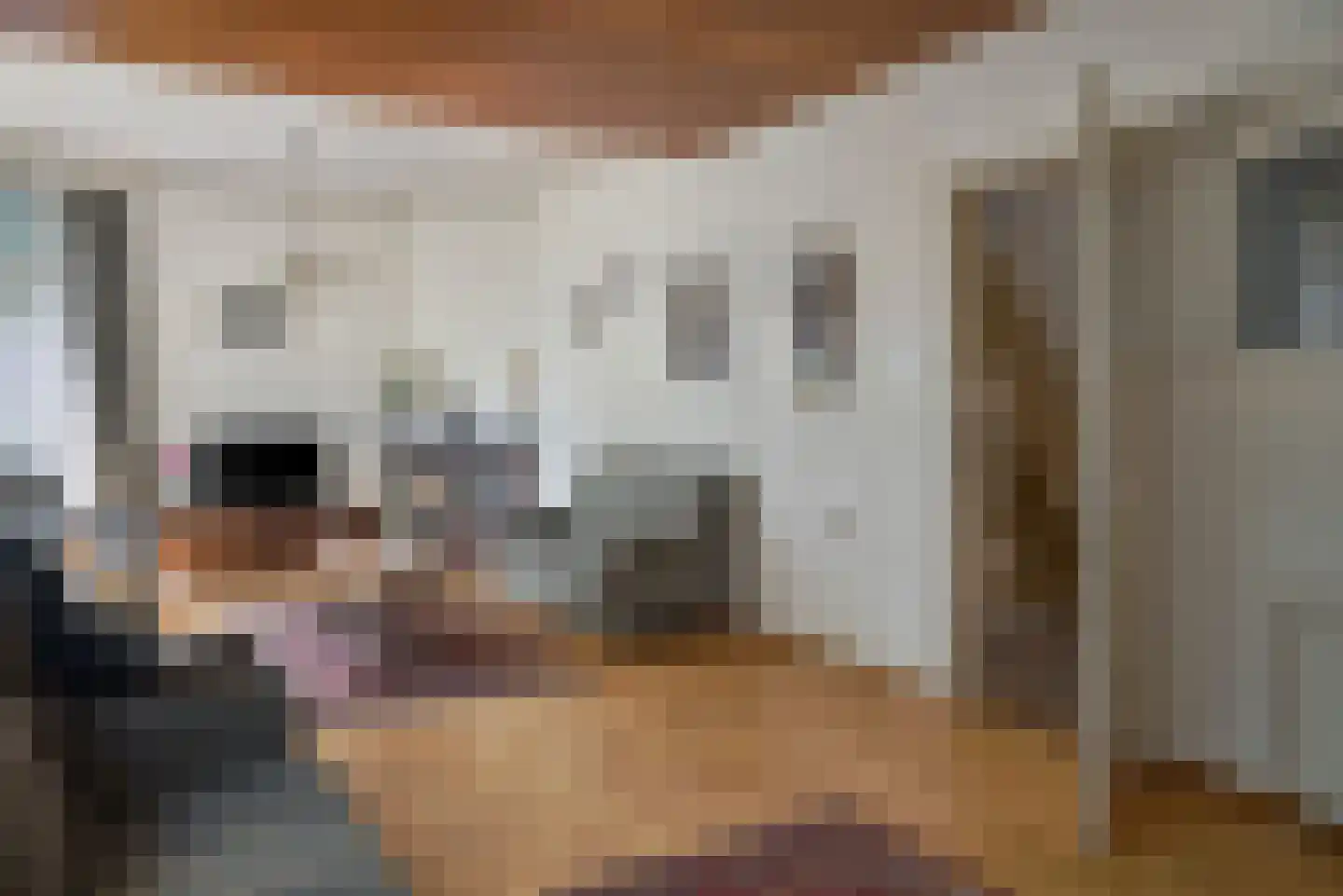 Salverderweg 16 Franeker thumbnail 16