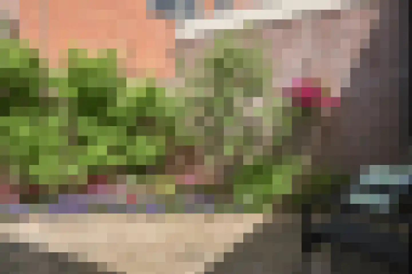 Salverderweg 16 Franeker thumbnail 25
