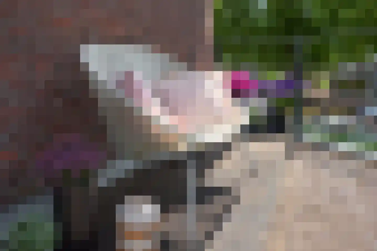 Salverderweg 16 Franeker thumbnail 36
