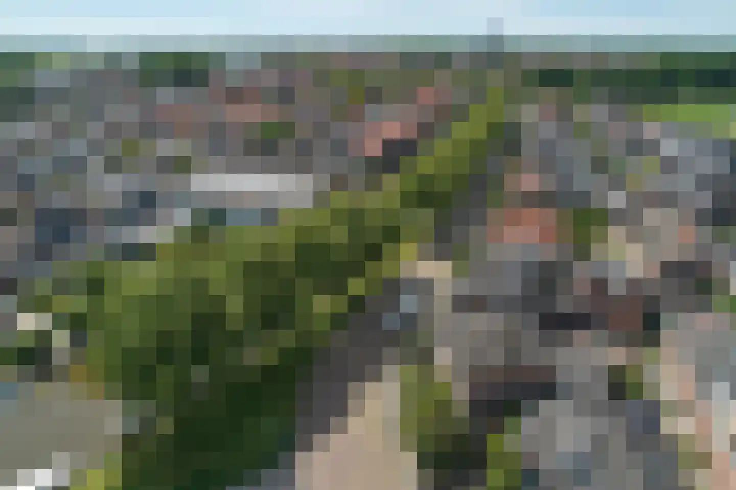 Salverderweg 16 Franeker thumbnail 38