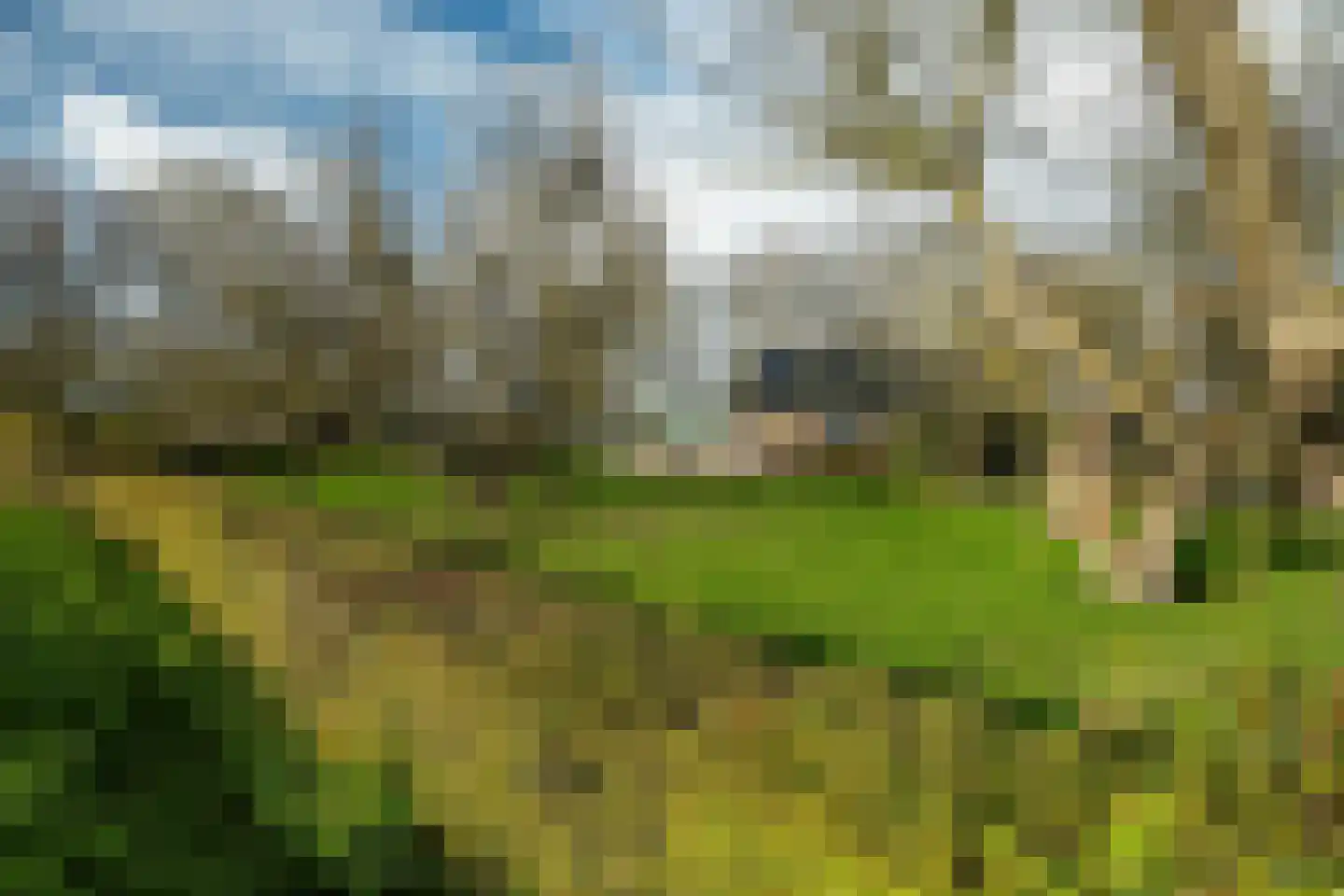 Salverderweg 71 Franeker thumbnail 63