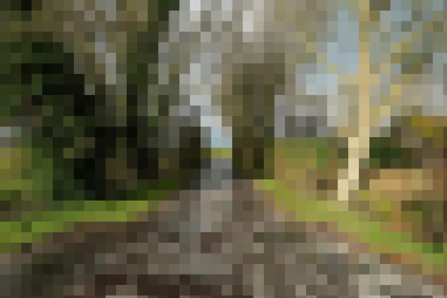 Salverderweg 71 Franeker thumbnail 64