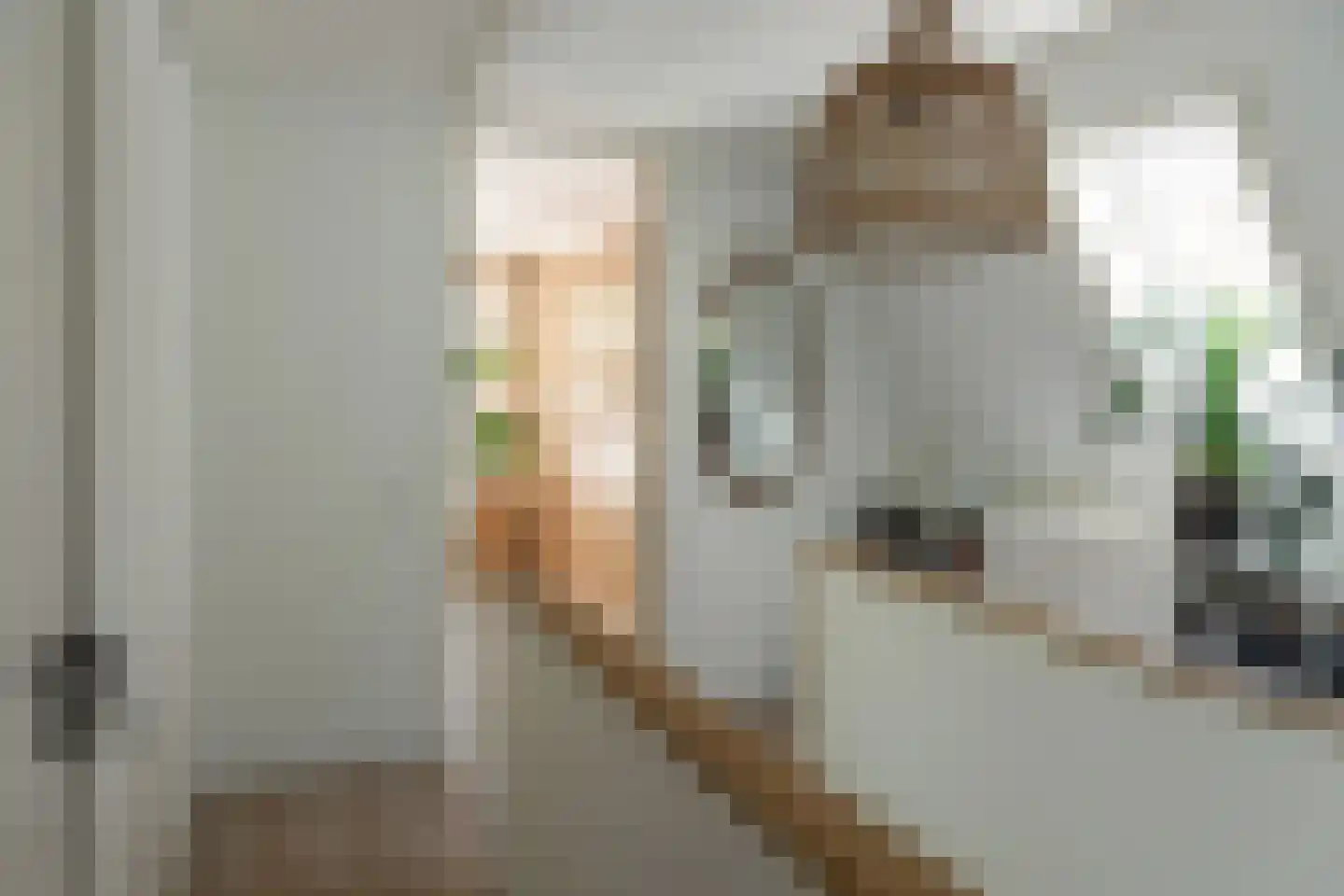 Salverderweg 8 Franeker thumbnail 22