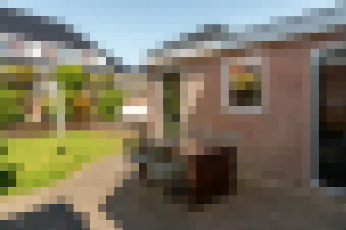 Salverderweg 8 Franeker thumbnail 32