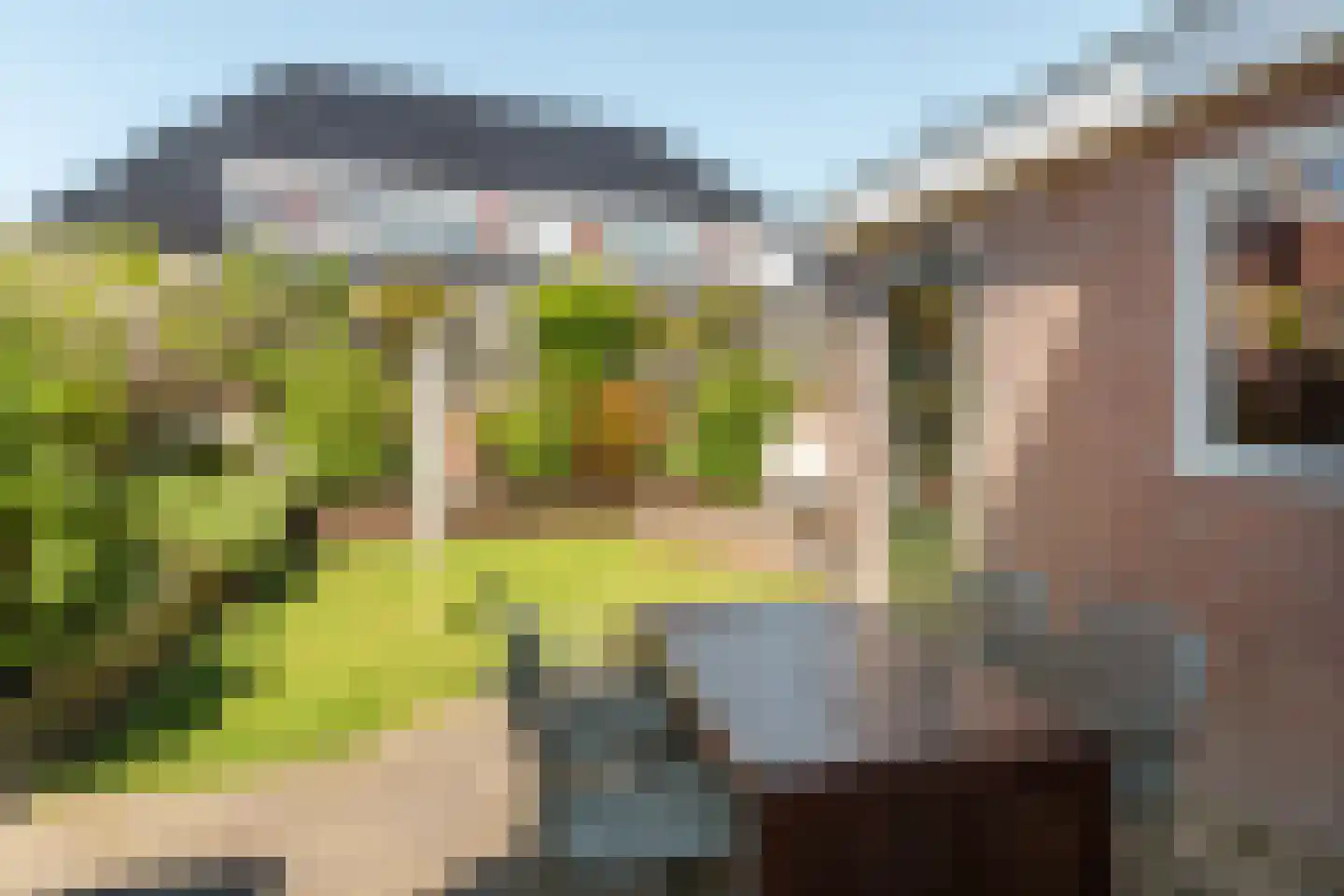 Salverderweg 8 Franeker thumbnail 33