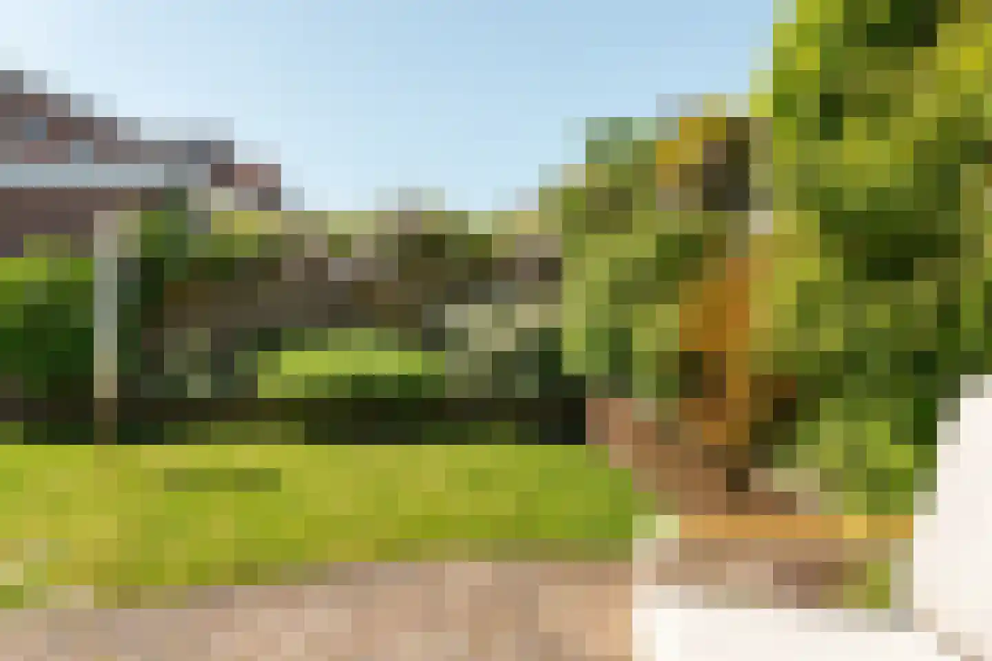 Salverderweg 8 Franeker thumbnail 35