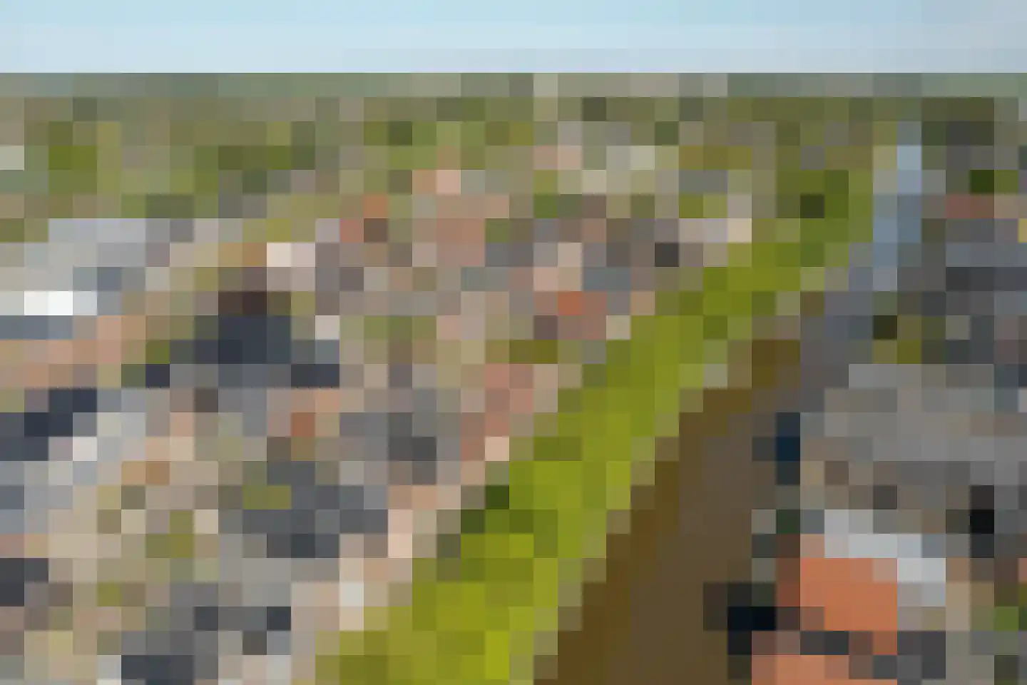 Salverderweg 8 Franeker thumbnail 4