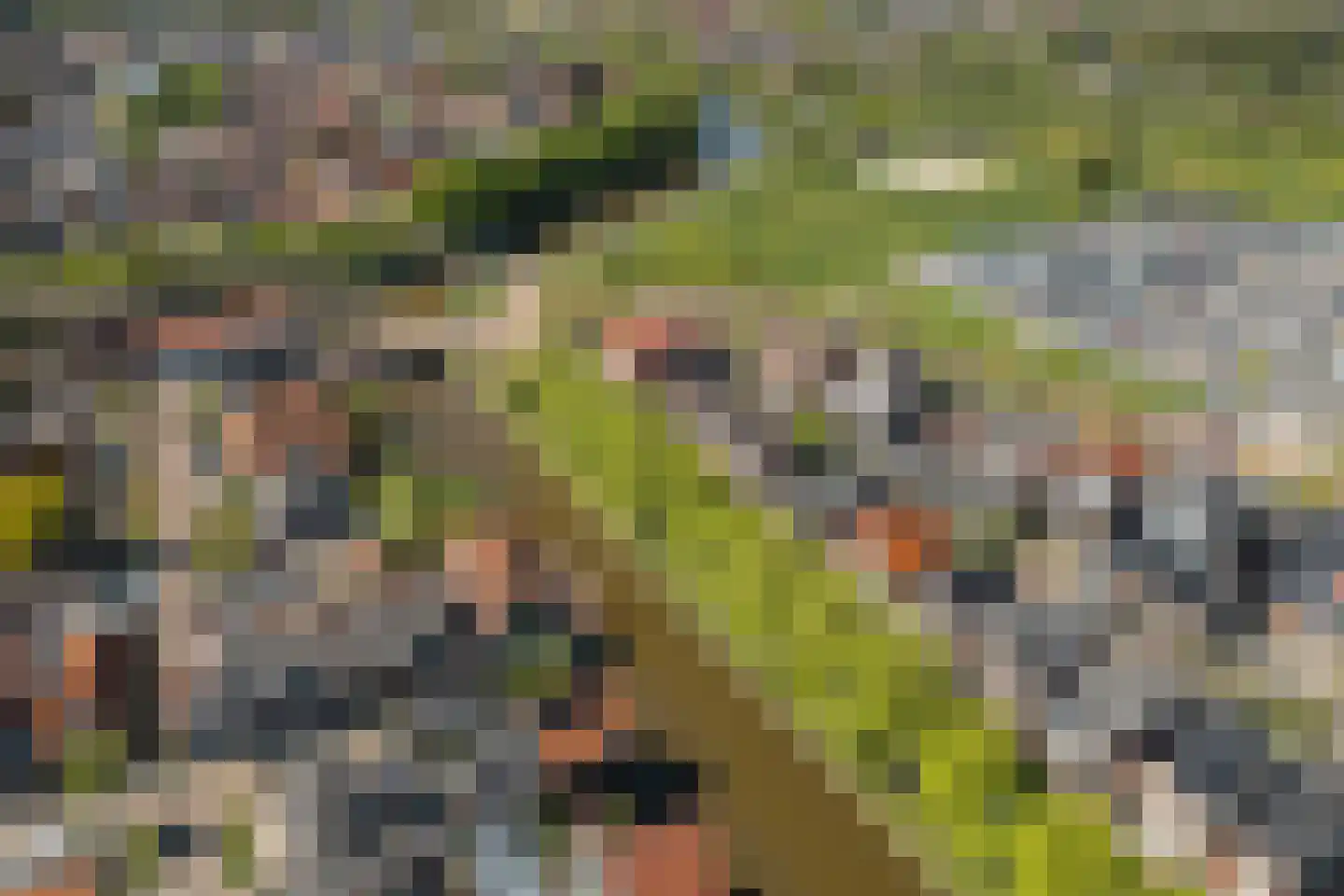 Salverderweg 8 Franeker thumbnail 5