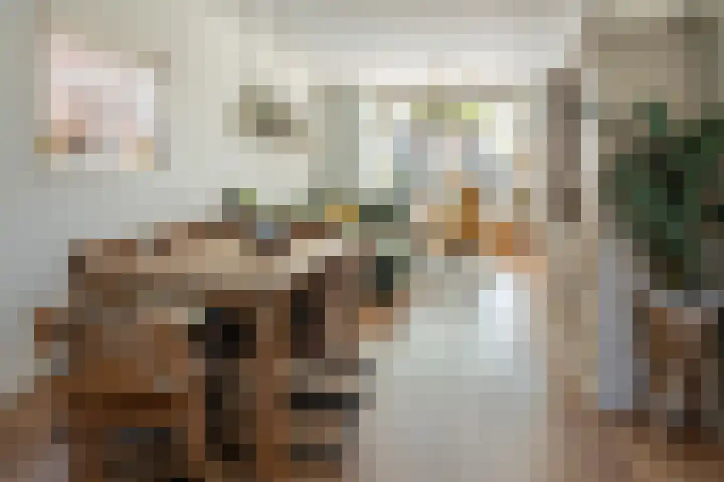 Salverderweg 8 Franeker thumbnail 8