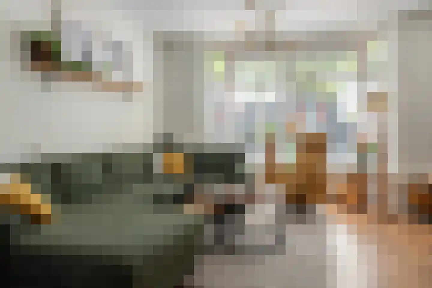 Salverderweg 8 Franeker thumbnail 9