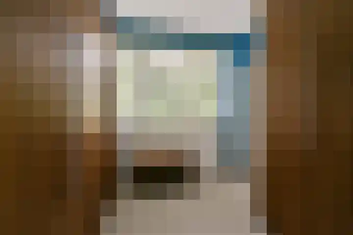 Salvia 19 Dordrecht thumbnail 21
