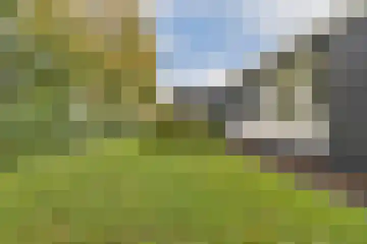 Salvia 19 Dordrecht thumbnail 28