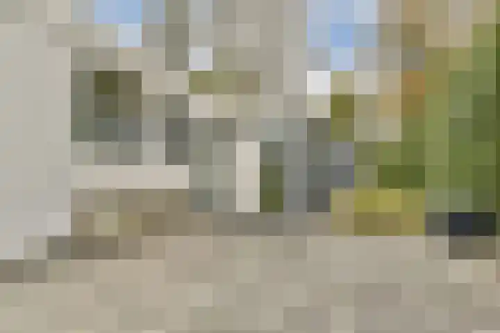 Salvia 19 Dordrecht thumbnail 31