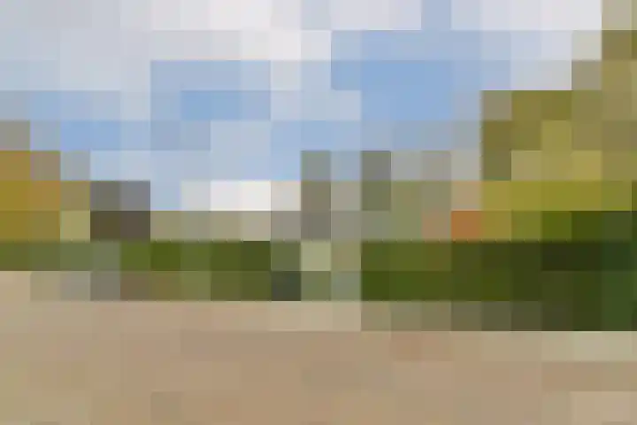 Salvia 19 Dordrecht thumbnail 32