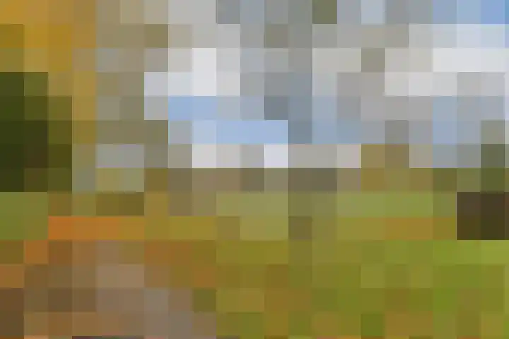 Salvia 19 Dordrecht thumbnail 33