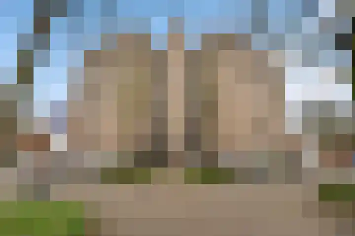 Salviabeemd 31 D Maastricht thumbnail 19