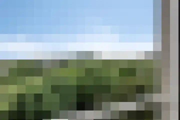 Salviabeemd 33 C Maastricht thumbnail 17