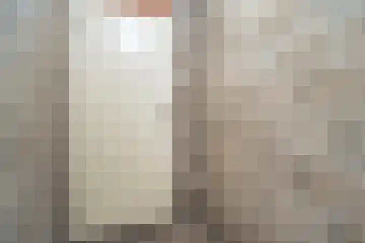 Salviabeemd 33 C Maastricht thumbnail 32