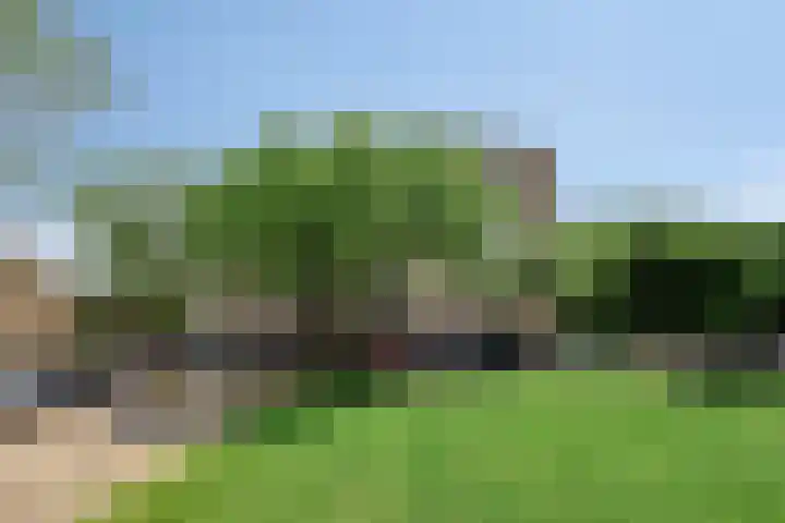 Salviabeemd 33 C Maastricht thumbnail 34