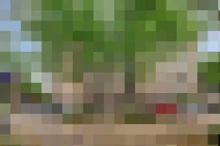 Salviabeemd 33 C Maastricht thumbnail 35