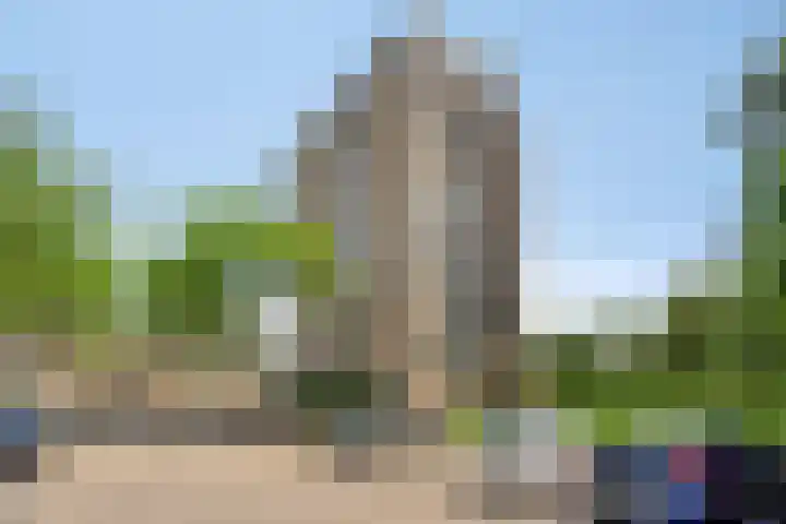 Salviabeemd 33 C Maastricht thumbnail 36
