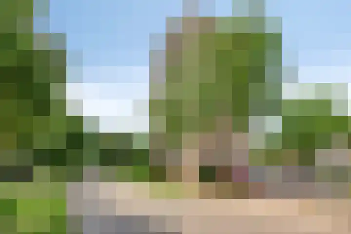 Salviabeemd 33 C Maastricht thumbnail 37