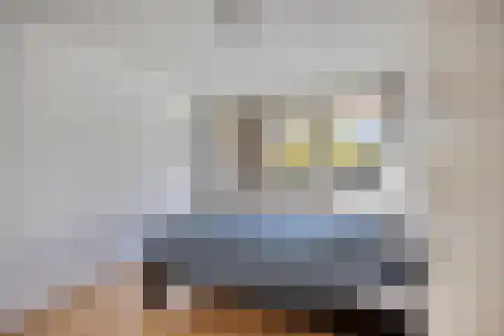 Salviabeemd 35 B Maastricht thumbnail 4