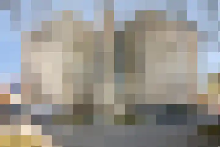 Salviabeemd 35 B Maastricht thumbnail 6