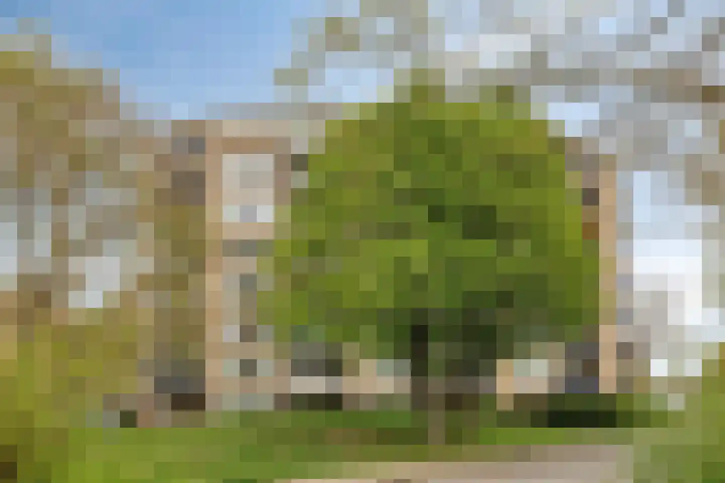 Salviabeemd 39 D Maastricht thumbnail 20