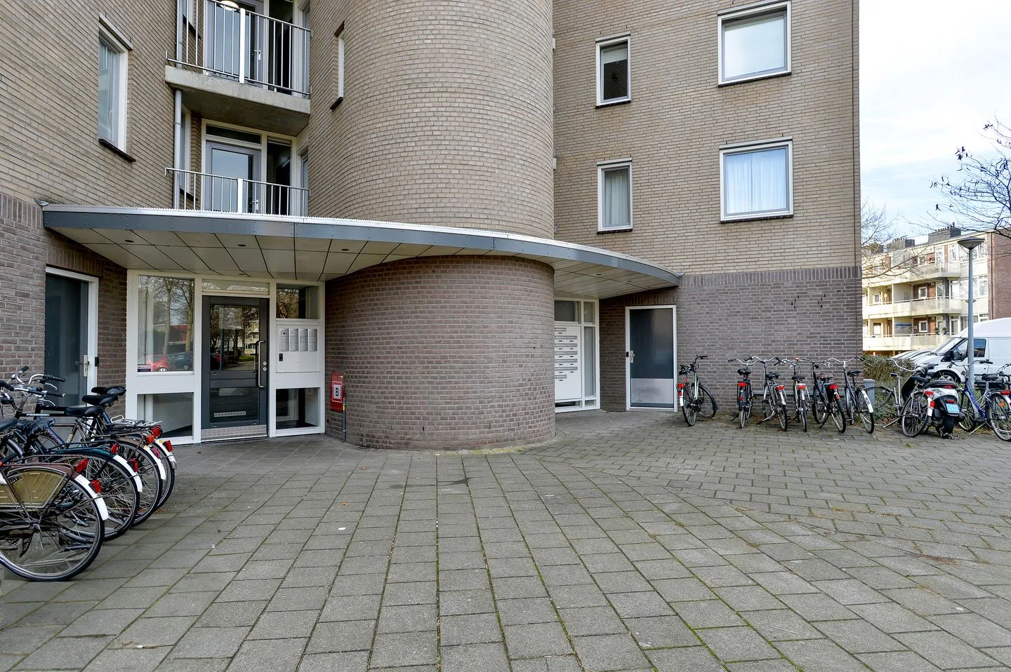 Salviabeemd 39 D Maastricht thumbnail 9
