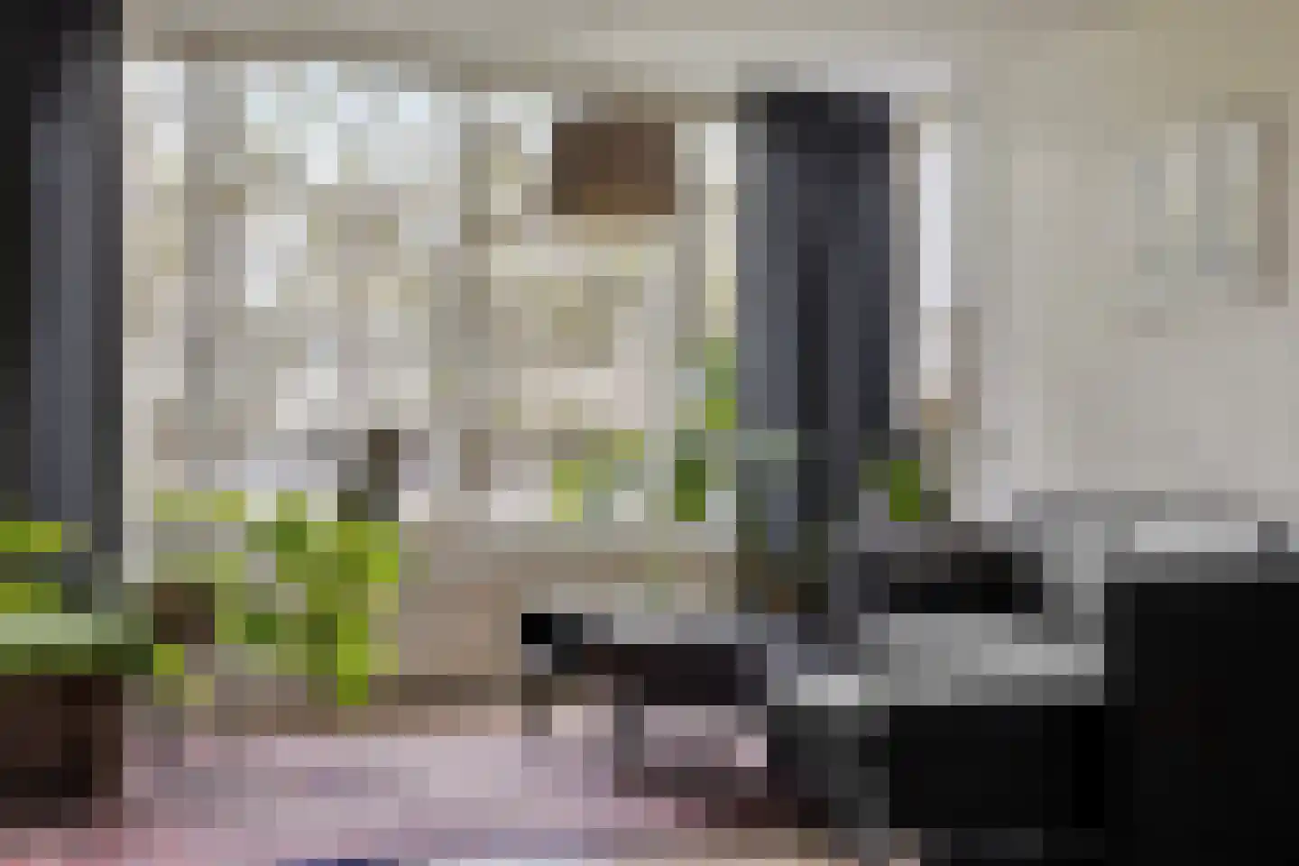 Salviabeemd 39 H Maastricht thumbnail 6