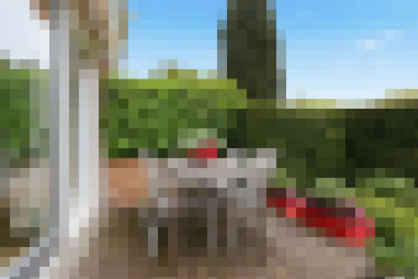 Salviahof 10 Zaandam thumbnail 29
