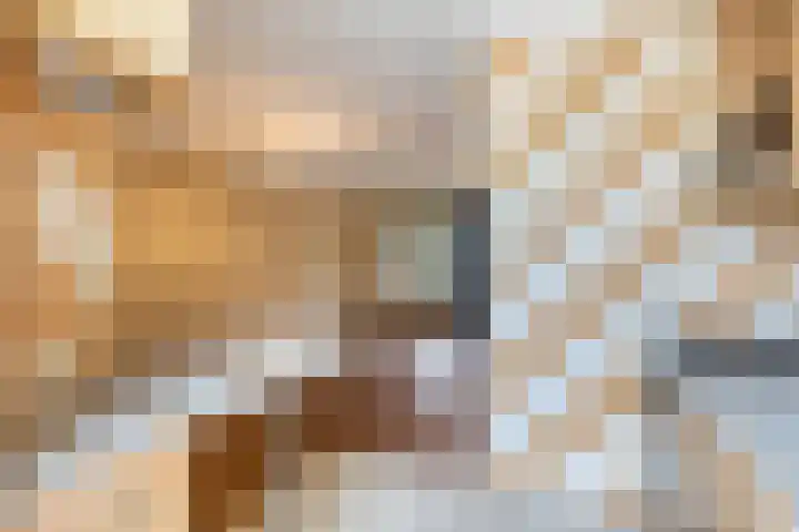 Salviahof 13 Schijndel thumbnail 10