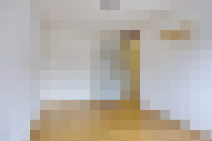 Salviahof 13 Schijndel thumbnail 16