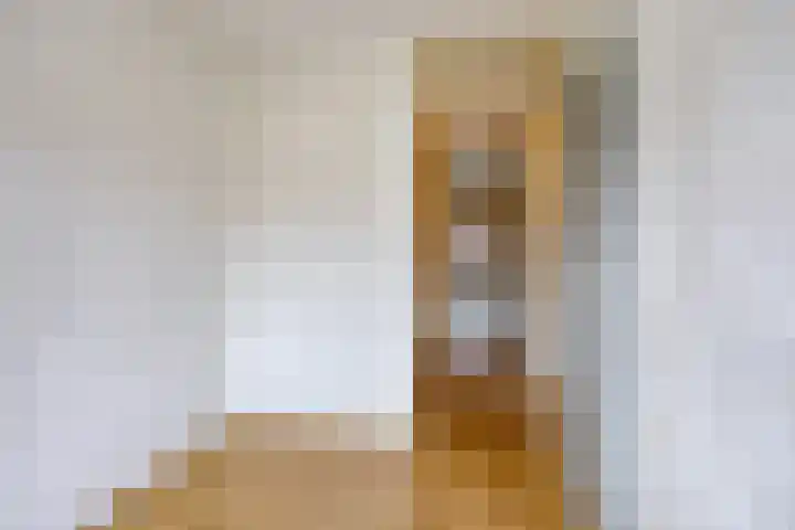Salviahof 13 Schijndel thumbnail 17