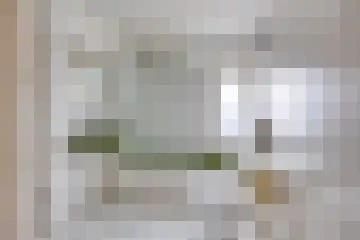 Salviahof 13 Schijndel thumbnail 19