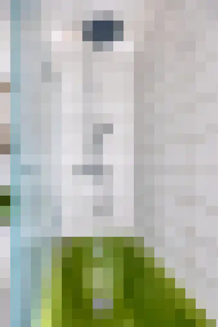 Salviahof 13 Schijndel thumbnail 20