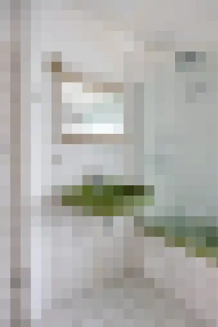 Salviahof 13 Schijndel thumbnail 21