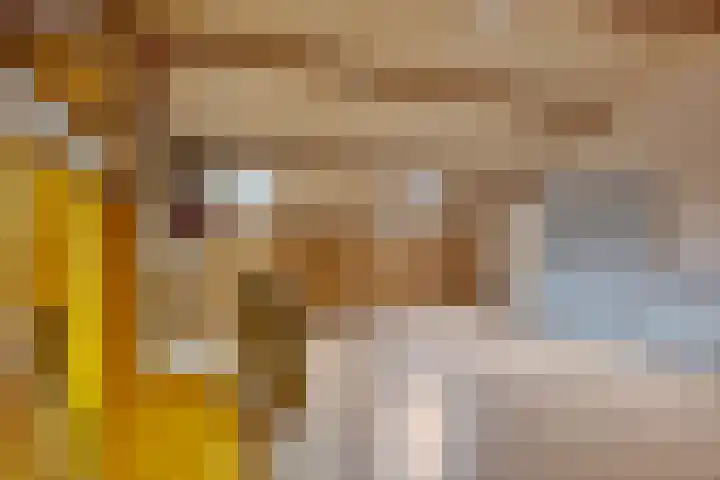 Salviahof 13 Schijndel thumbnail 24