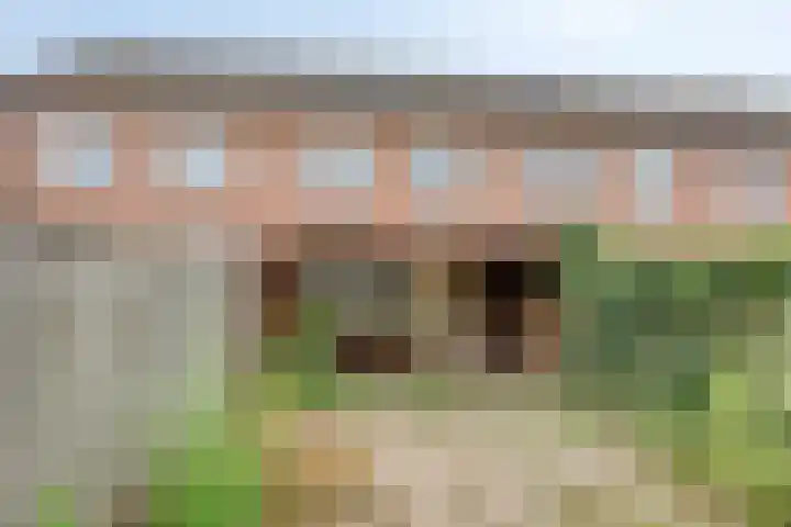 Salviahof 13 Schijndel thumbnail 25