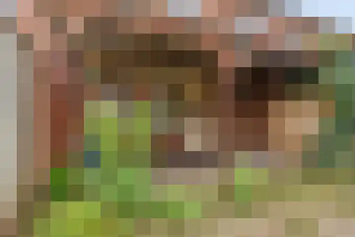 Salviahof 13 Schijndel thumbnail 26
