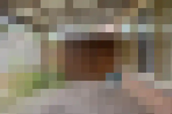 Salviahof 13 Schijndel thumbnail 27