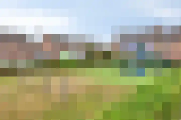 Salviahof 13 Schijndel thumbnail 29