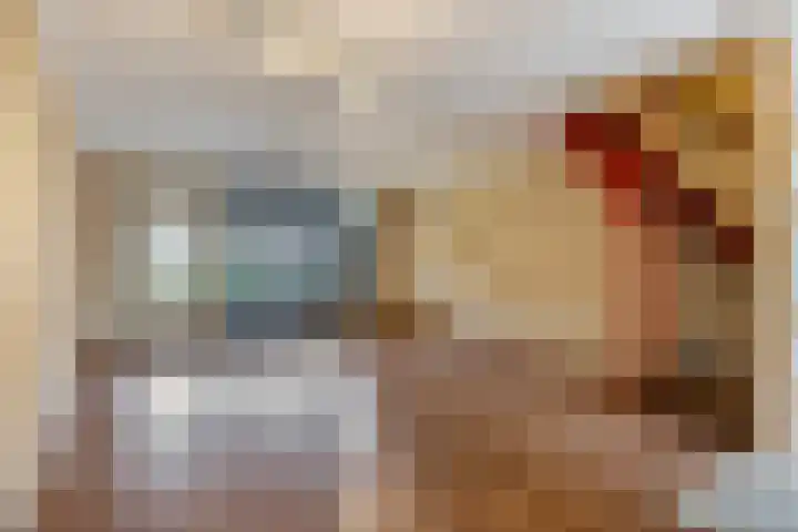 Salviahof 13 Schijndel thumbnail 8